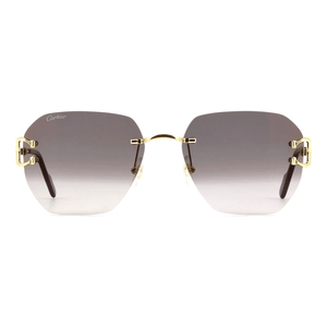Cartier CT0394S 001 Sunglasses - URBAN SUNGLASSES