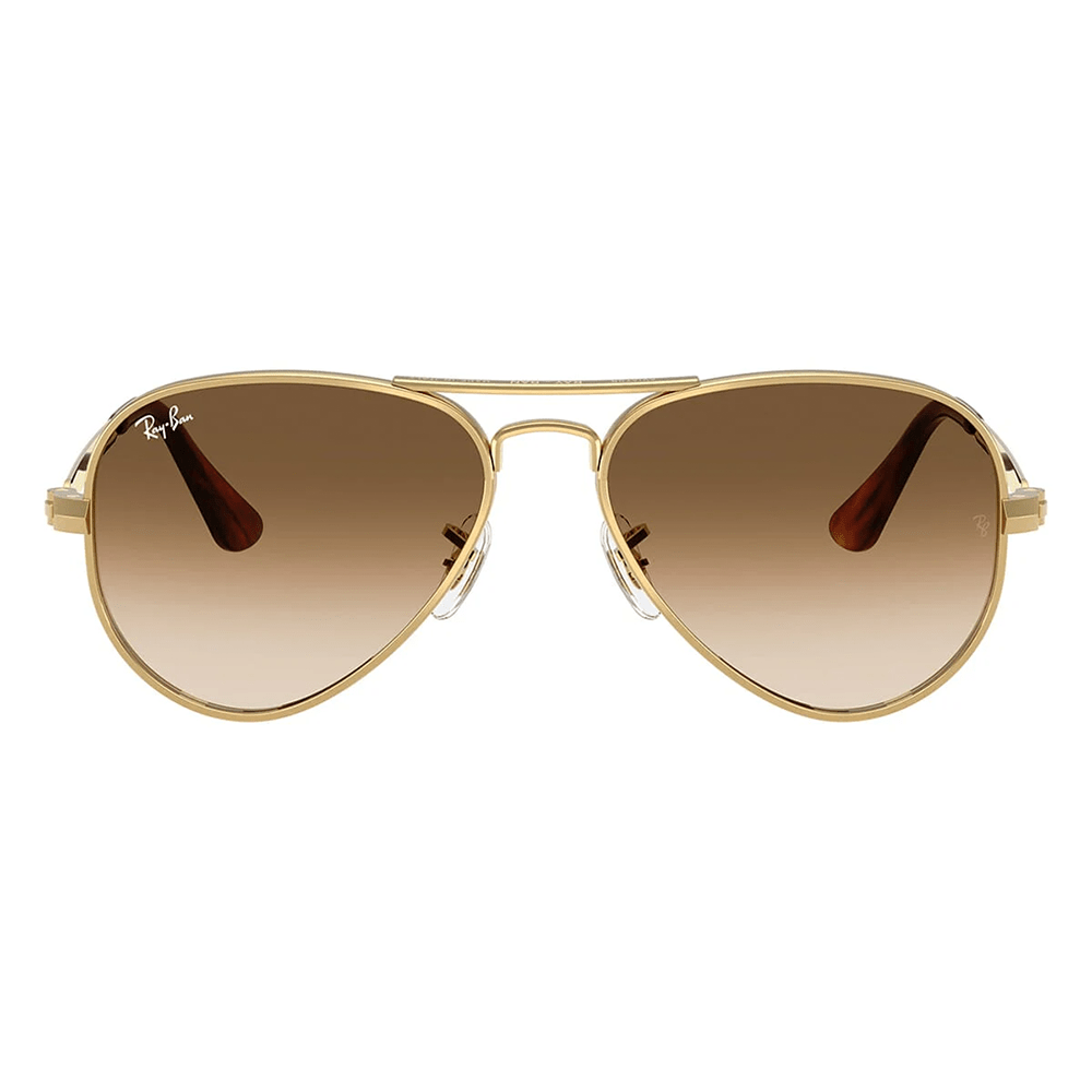 Ray - Ban Aviator Max RB3925 001/51 58 Sunglasses - URBAN SUNGLASSES