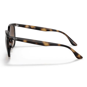 Ray - Ban RB4378 710/13 Sunglasses - URBAN SUNGLASSES