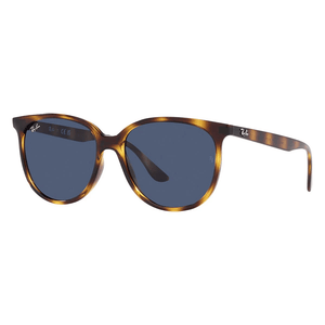 Ray - Ban RB4378 710/80 Sunglasses - URBAN SUNGLASSES