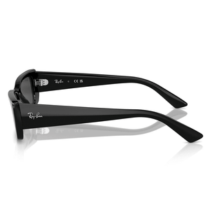 Ray - Ban RB4425 667787 Sunglasses - URBAN SUNGLASSES