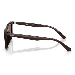Ray - Ban RB4439D 6231/73 Sunglasses - URBAN SUNGLASSES