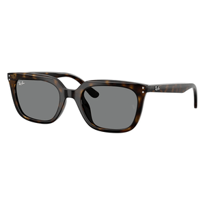 Ray - Ban RB4439D 710/87 Sunglasses - URBAN SUNGLASSES