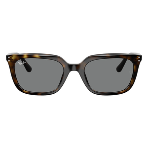 Ray - Ban RB4439D 710/87 Sunglasses - URBAN SUNGLASSES