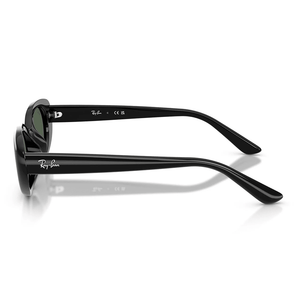 Ray - Ban RB4441D 667771 Sunglasses - URBAN SUNGLASSES