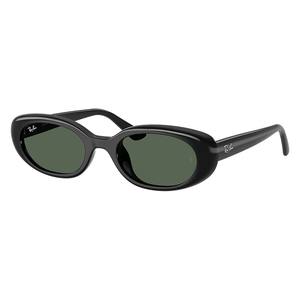 Ray - Ban RB4441D 667771 Sunglasses - URBAN SUNGLASSES