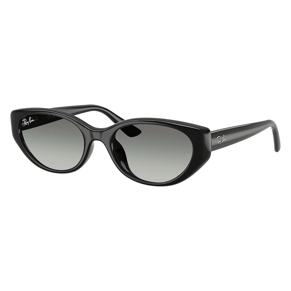 Ray - Ban RB4457D 667711 Sunglasses - URBAN SUNGLASSES