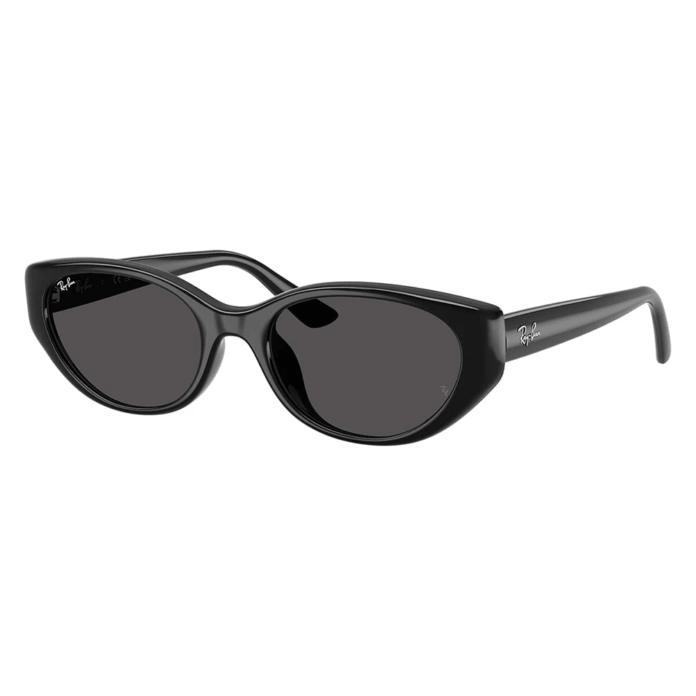 Ray - Ban RB4457D 667787 Sunglasses - URBAN SUNGLASSES