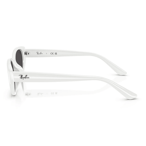 Ray-Ban RB4457D 677287 Sunglasses - URBAN SUNGLASSES