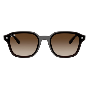 Ray-Ban RB4458D 714/13 Sunglasses - URBAN SUNGLASSES