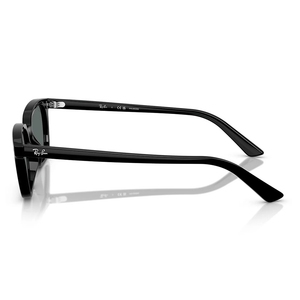 Ray - Ban Zaya RB4456 6677/81 53 Polarised Sunglasses - URBAN SUNGLASSES