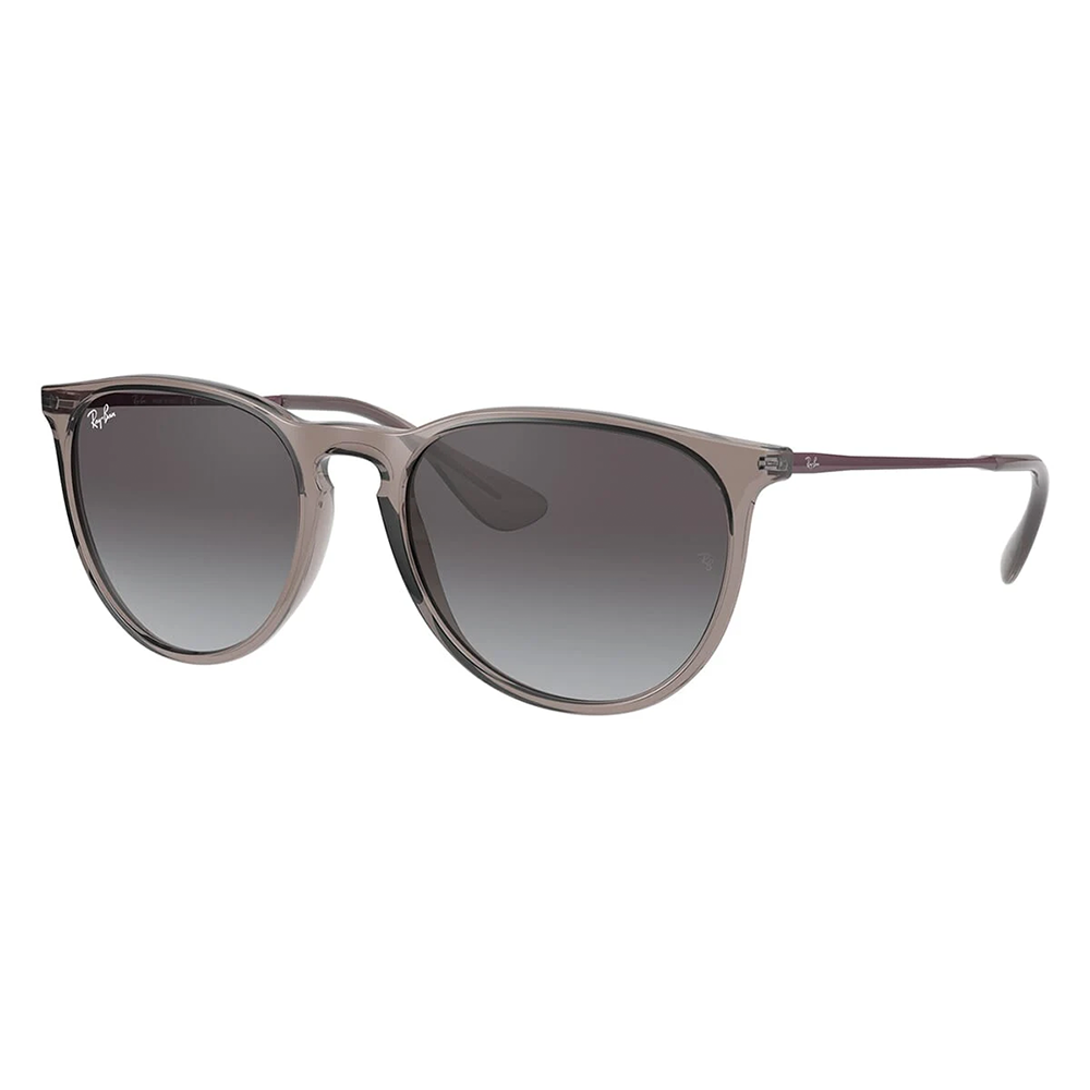 Ray-Ban ERIKA RB4171 65138G Sunglasses