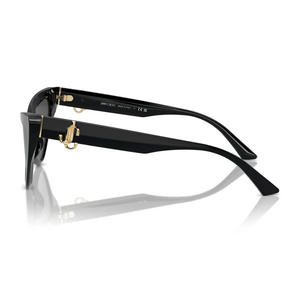 Jimmy Choo JC5008 500087 Sunglasses - URBAN SUNGLASSES