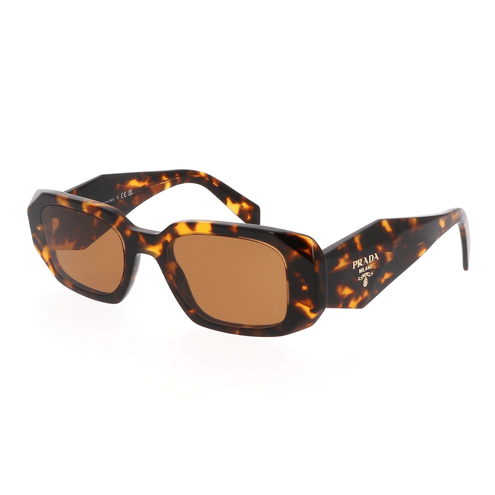 PR17WS VAU2Z1 Sunglasses