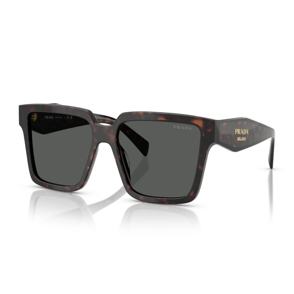 PR24ZS 17N40L Sunglasses