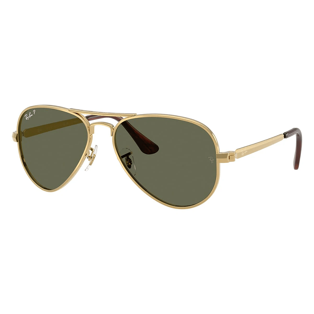 Ray - Ban Aviator Max RB3925 001/58 58 Polarised Sunglasses - URBAN SUNGLASSES