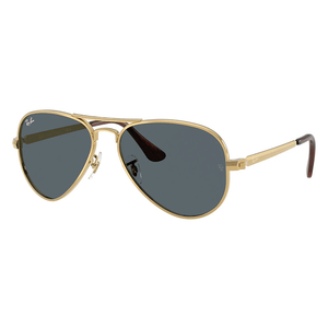 Ray - Ban Aviator Max RB3925 001/R5 58 Sunglasses - URBAN SUNGLASSES