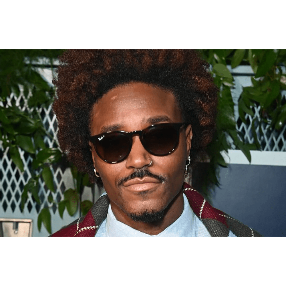 Ray - Ban ERIKA RB4171 710/T5 Polarised Sunglasses - URBAN SUNGLASSES