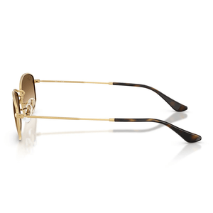 Ray - Ban RB3832 001/51 52 Sunglasses - URBAN SUNGLASSES