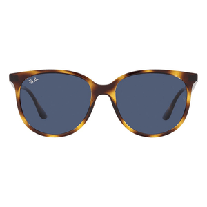 Ray - Ban RB4378 710/80 Sunglasses - URBAN SUNGLASSES