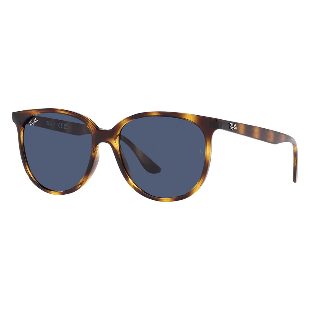 Ray - Ban RB4378 710/80 Sunglasses - URBAN SUNGLASSES