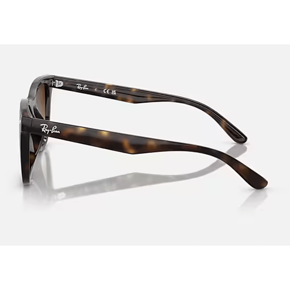 Ray - Ban RB4420 710/13 Sunglasses - URBAN SUNGLASSES