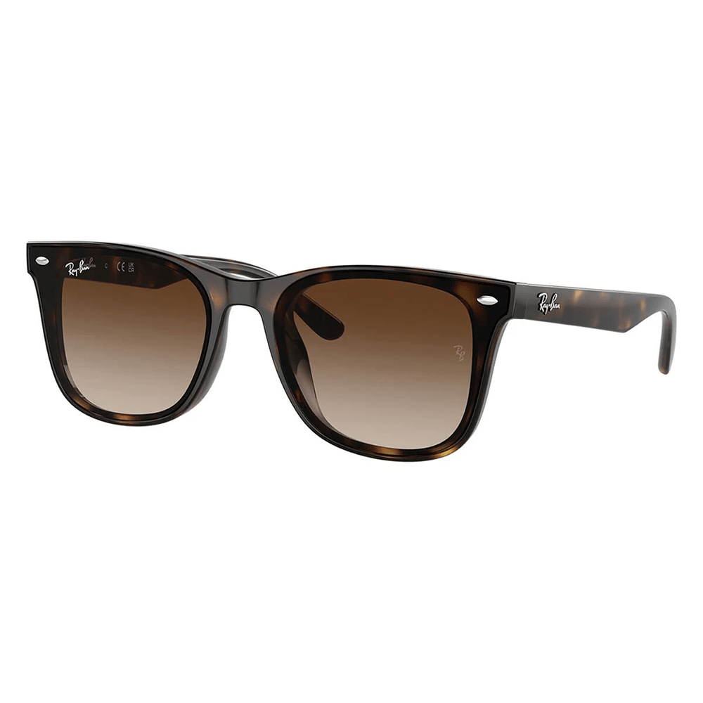 Ray - Ban RB4420 710/13 Sunglasses - URBAN SUNGLASSES
