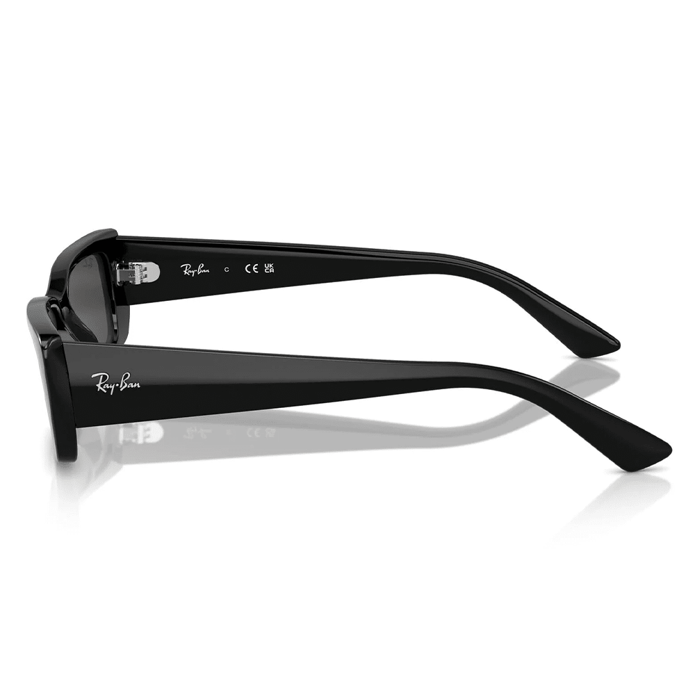 Ray - Ban RB4425 667787 Sunglasses - URBAN SUNGLASSES