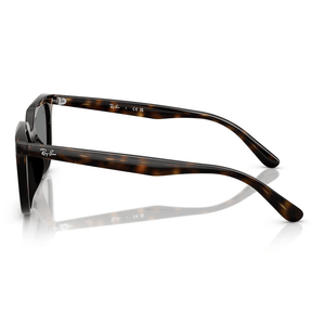 Ray - Ban RB4439D 710/87 Sunglasses - URBAN SUNGLASSES