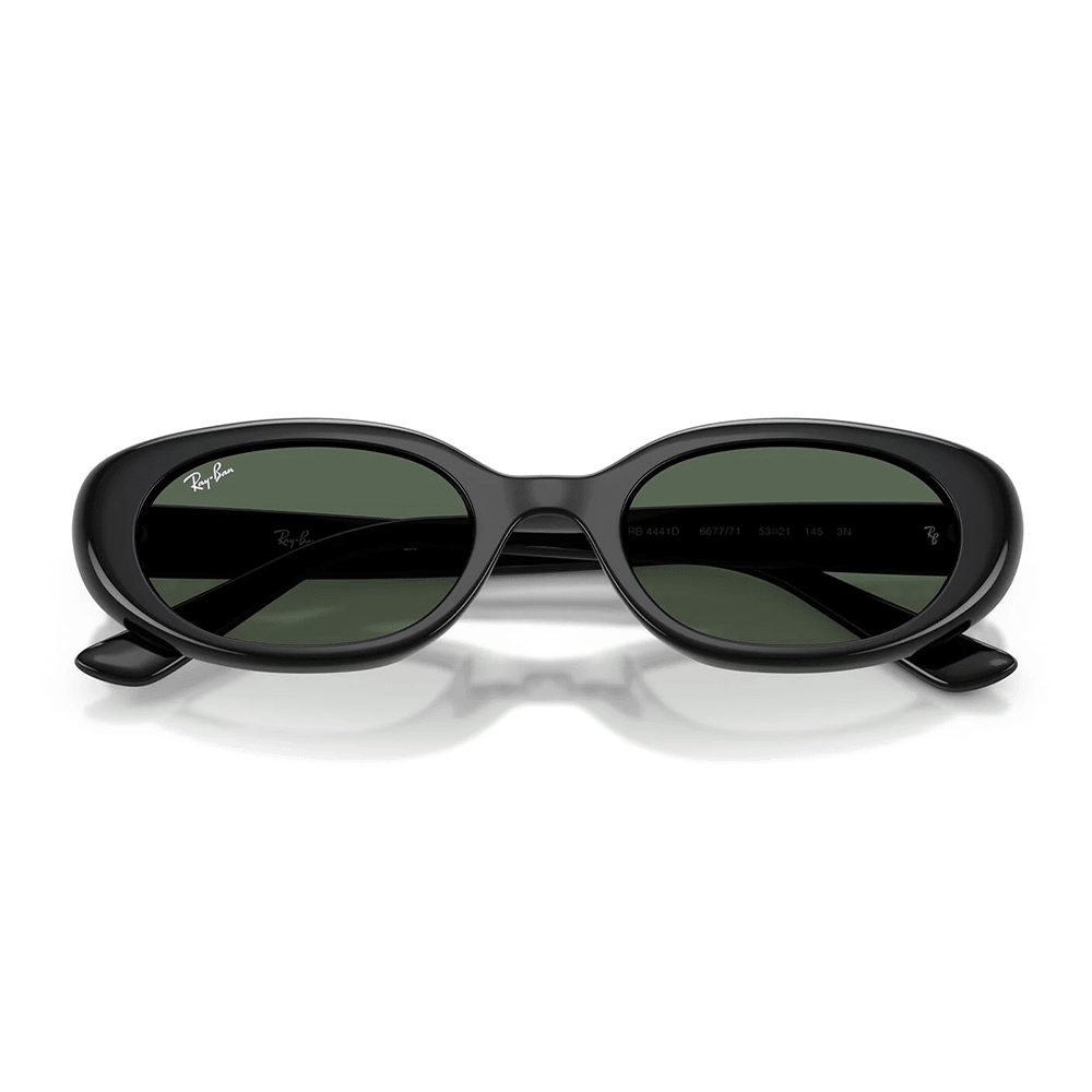 Ray - Ban RB4441D 667771 Sunglasses - URBAN SUNGLASSES