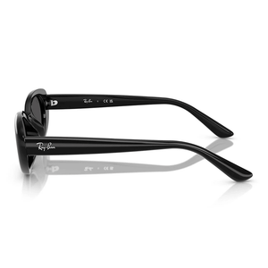 Ray - Ban RB4441D 667787 Sunglasses - URBAN SUNGLASSES