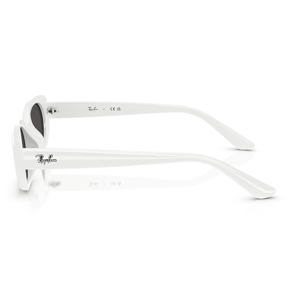 Ray - Ban RB4441D 677287 Sunglasses - URBAN SUNGLASSES