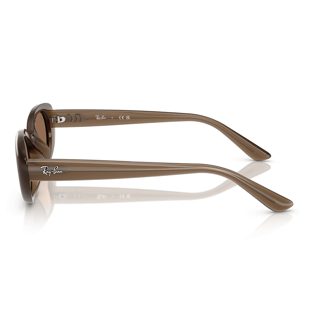 Ray - Ban RB4441D 677973 Sunglasses - URBAN SUNGLASSES