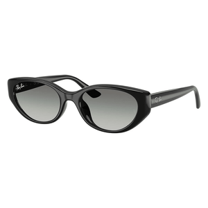 Ray - Ban RB4457D 667711 Sunglasses - URBAN SUNGLASSES