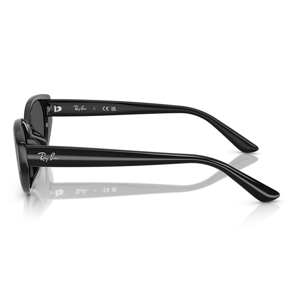 Ray - Ban RB4457D 667787 Sunglasses - URBAN SUNGLASSES