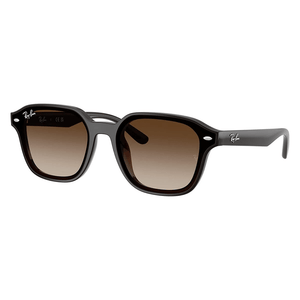 Ray-Ban RB4458D 714/13 Sunglasses - URBAN SUNGLASSES