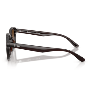 Ray-Ban RB4458D 714/13 Sunglasses - URBAN SUNGLASSES